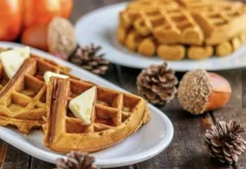 -Pumpkin Spice Protein Waffles